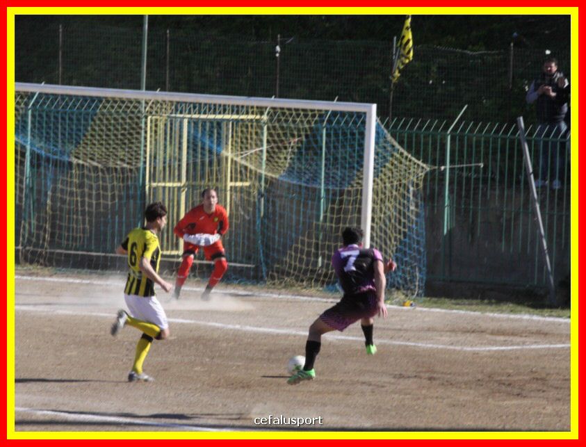 190310 Cephal_Torrenov 069_tn.jpg